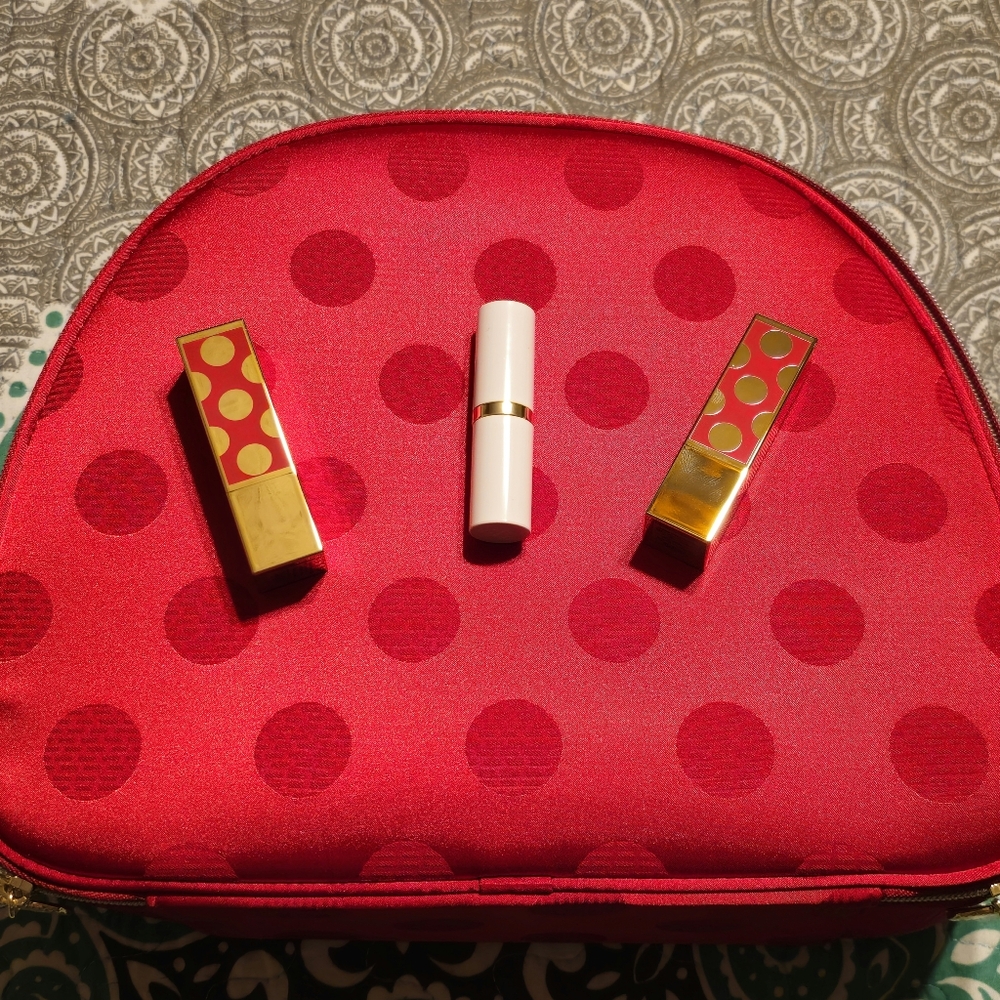 Estee Lauder Lipsticks,Blush and Makeuo Case All New!